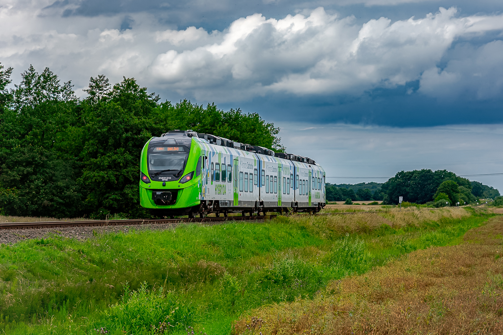 Hybrydą nad morze