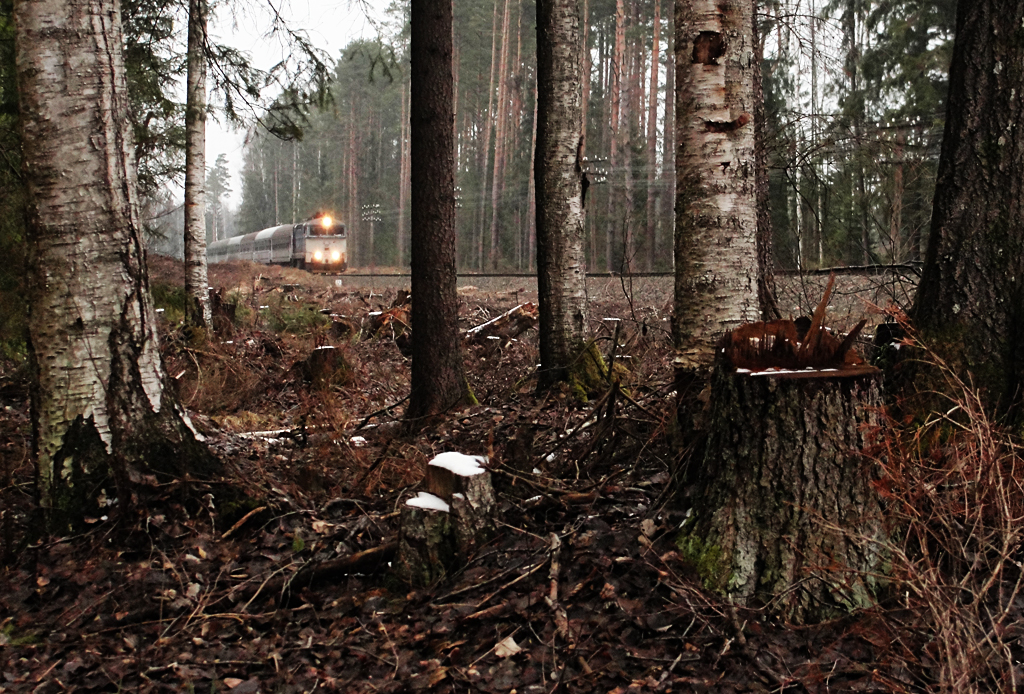 Hańcza pośrodku niczego