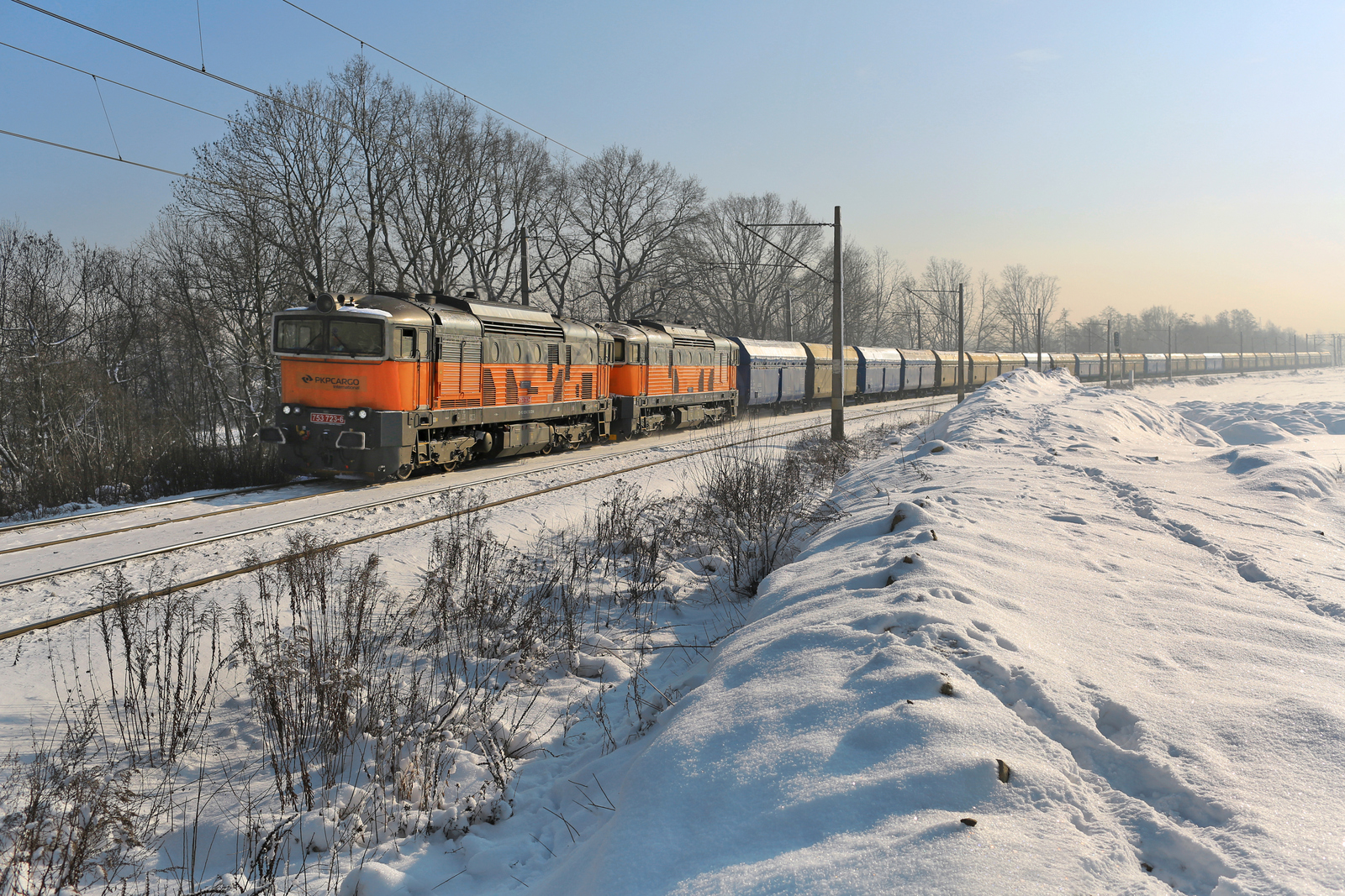 PKP Cargo International