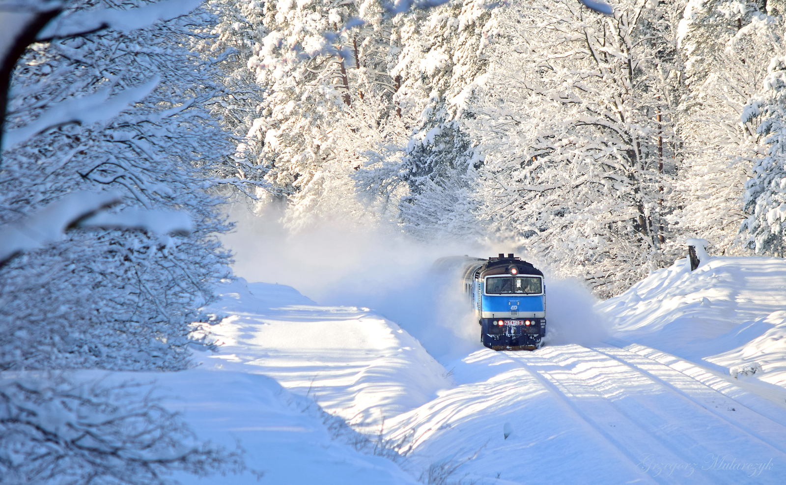 Nurkujący w śniegu