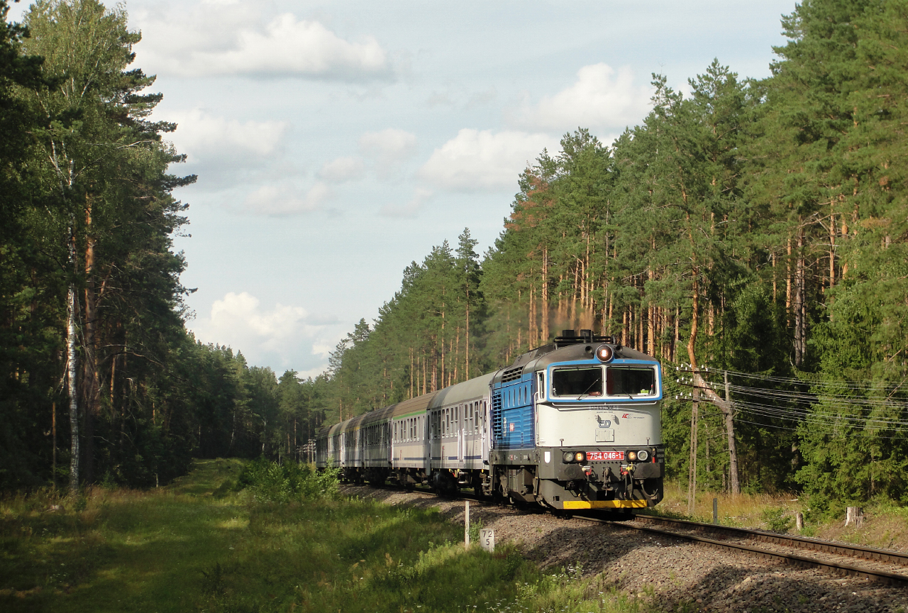 Puszczańskie światłocienie