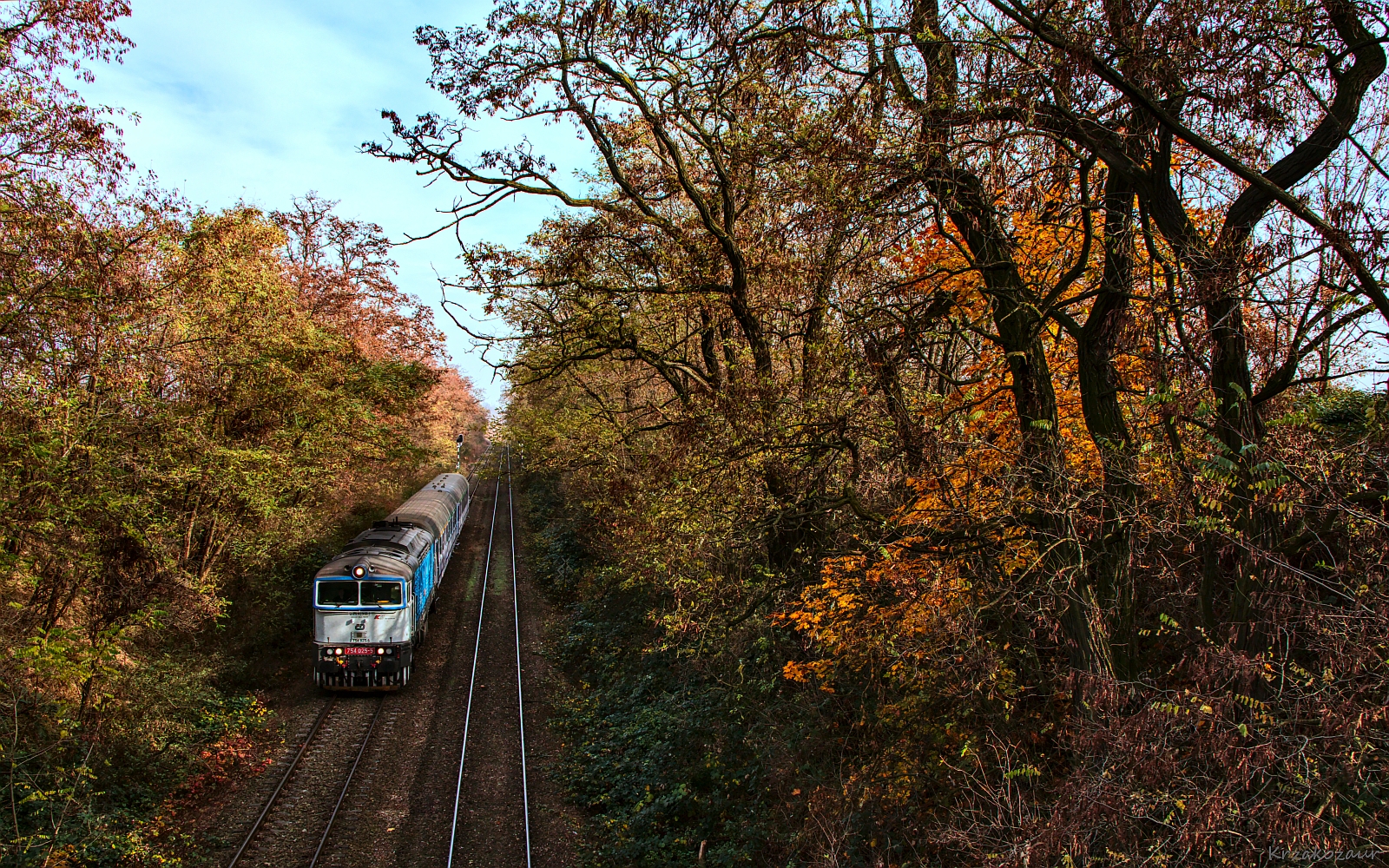 Wspólne nurkowanie w lesie