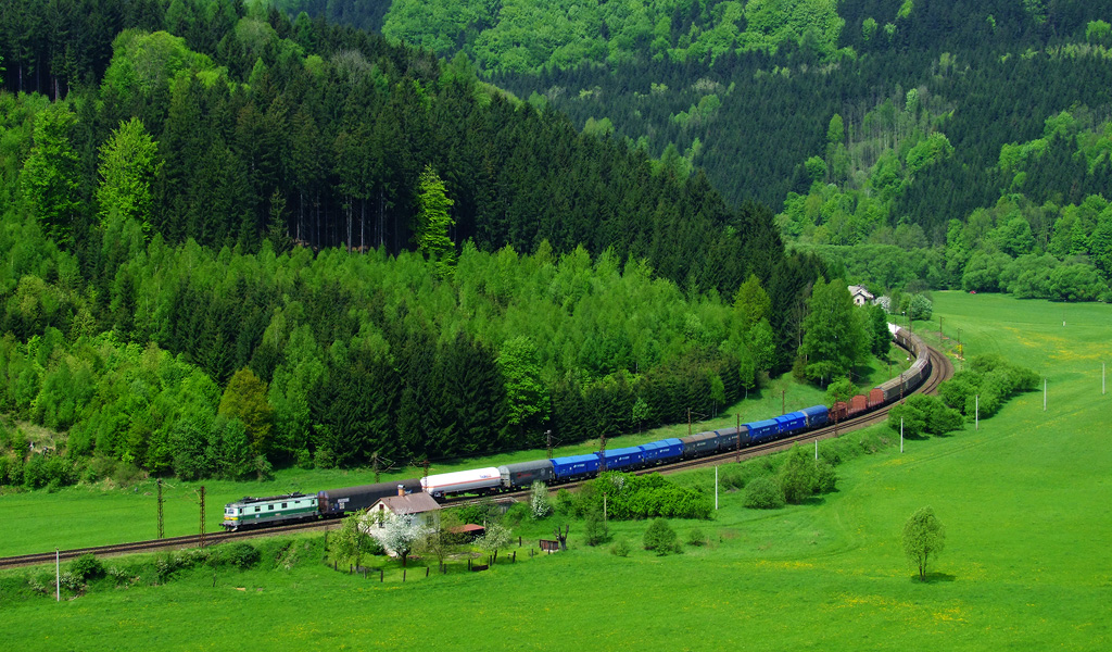 Towarowy w Dolinie Orlicy