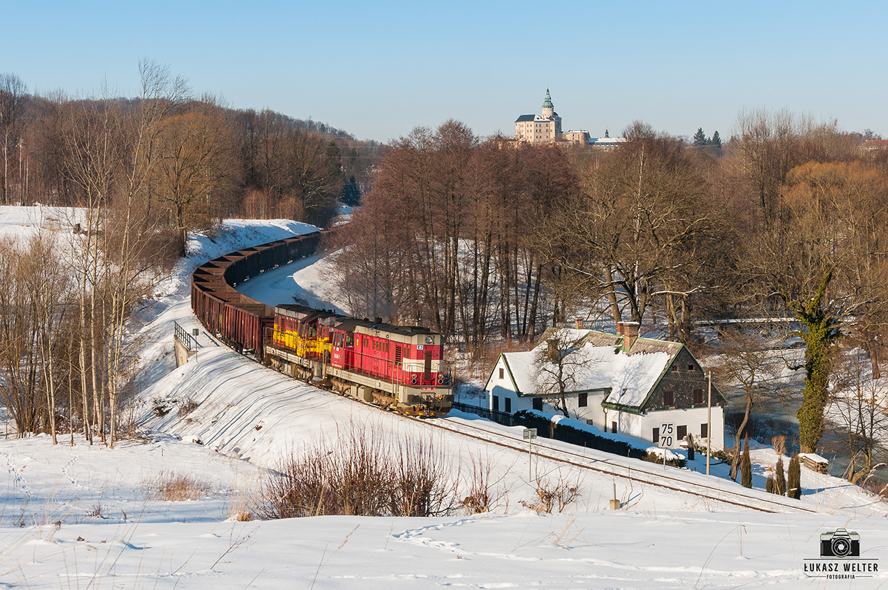 Kocury we Frydlandzie