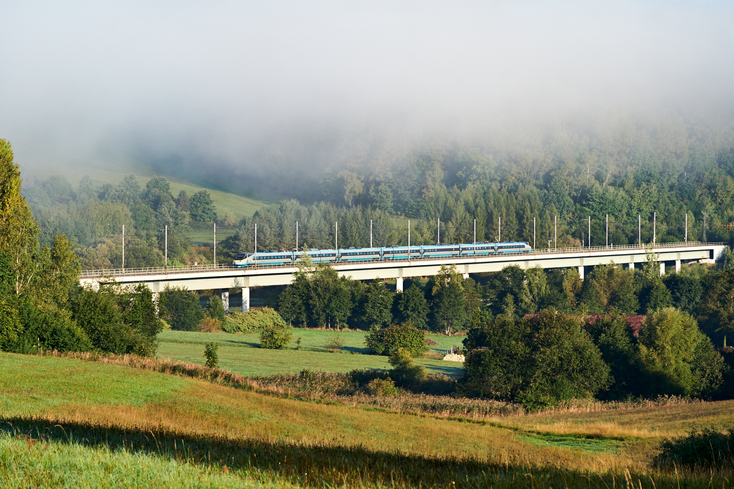 Mgły do nóg podchodzą