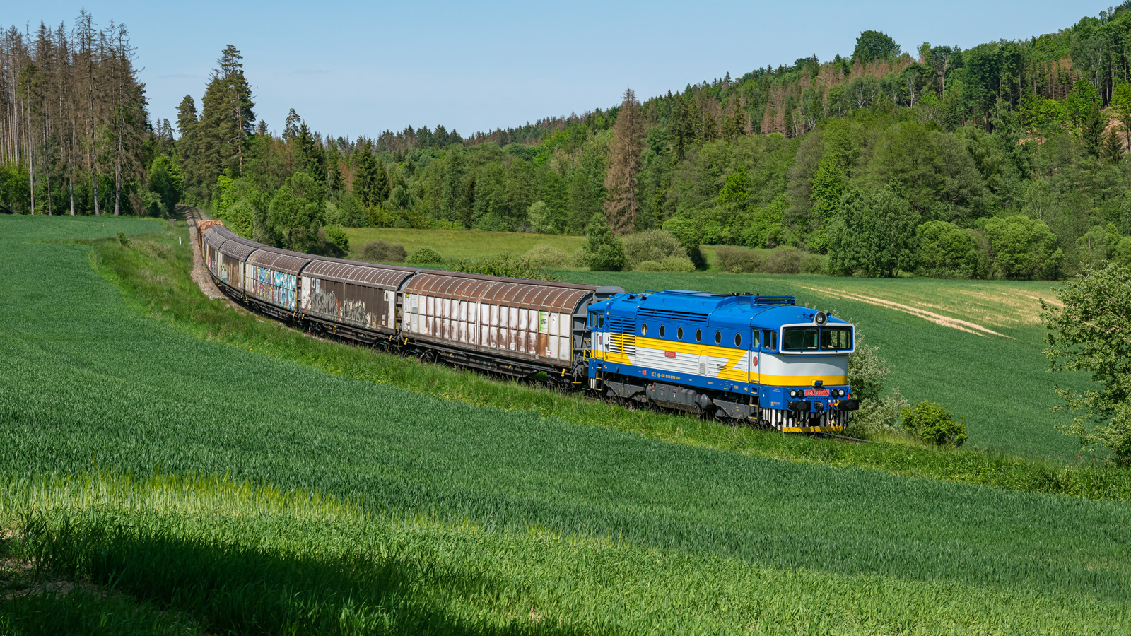 Kolorowy Cargo Brejlovec