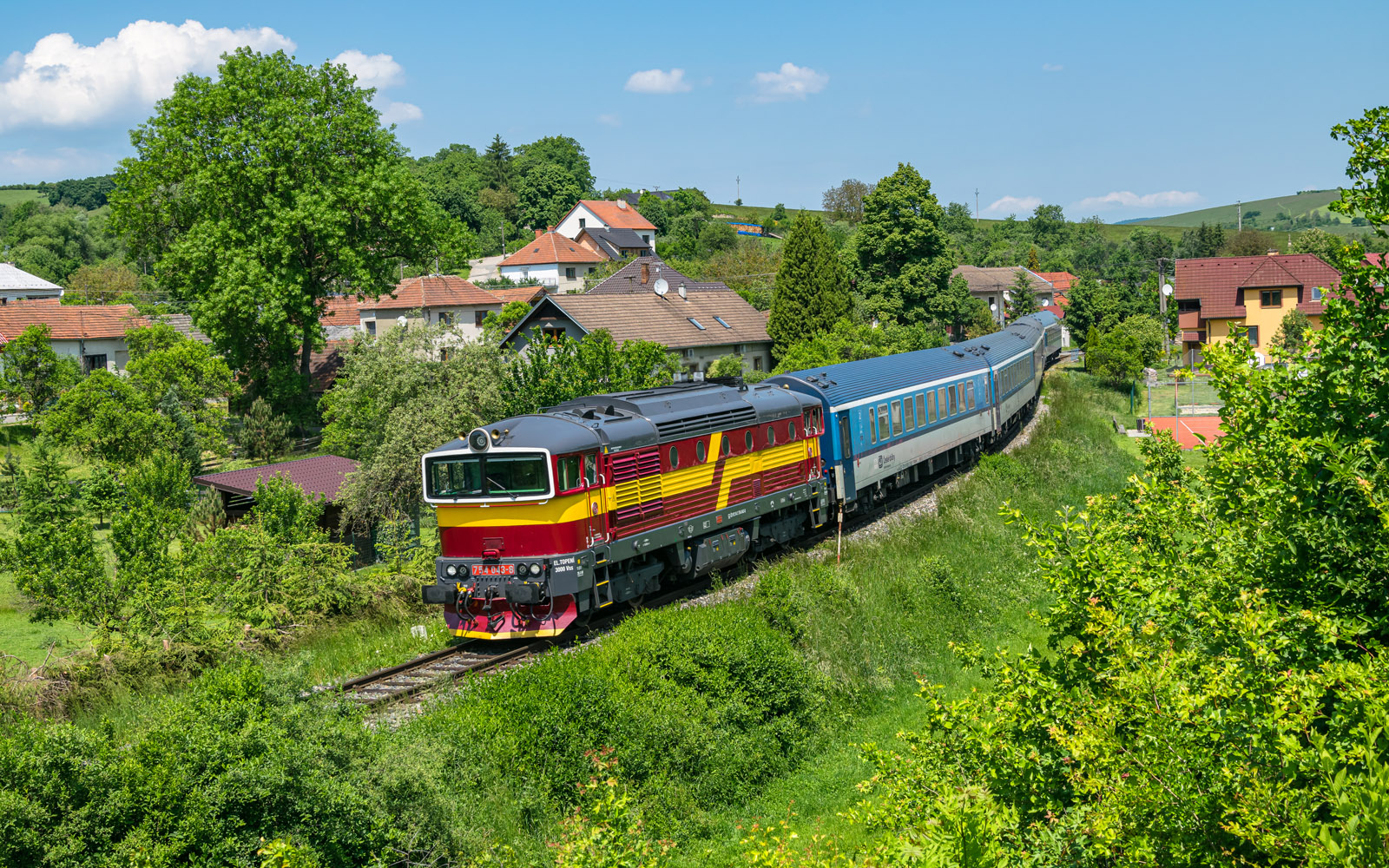 Czerwowno-żółty Brejlovec