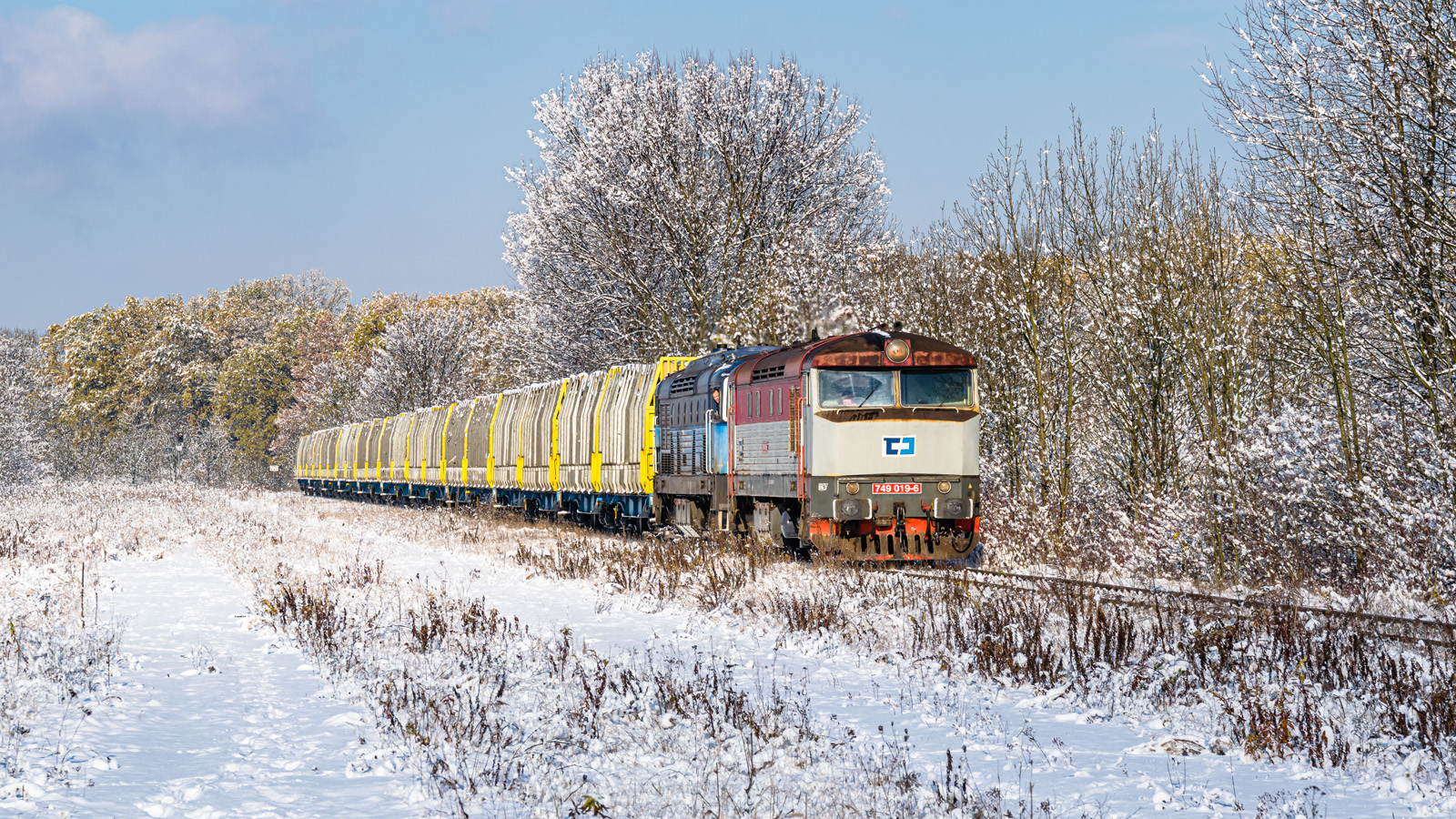 Zimowa Bardotka ČD Cargo