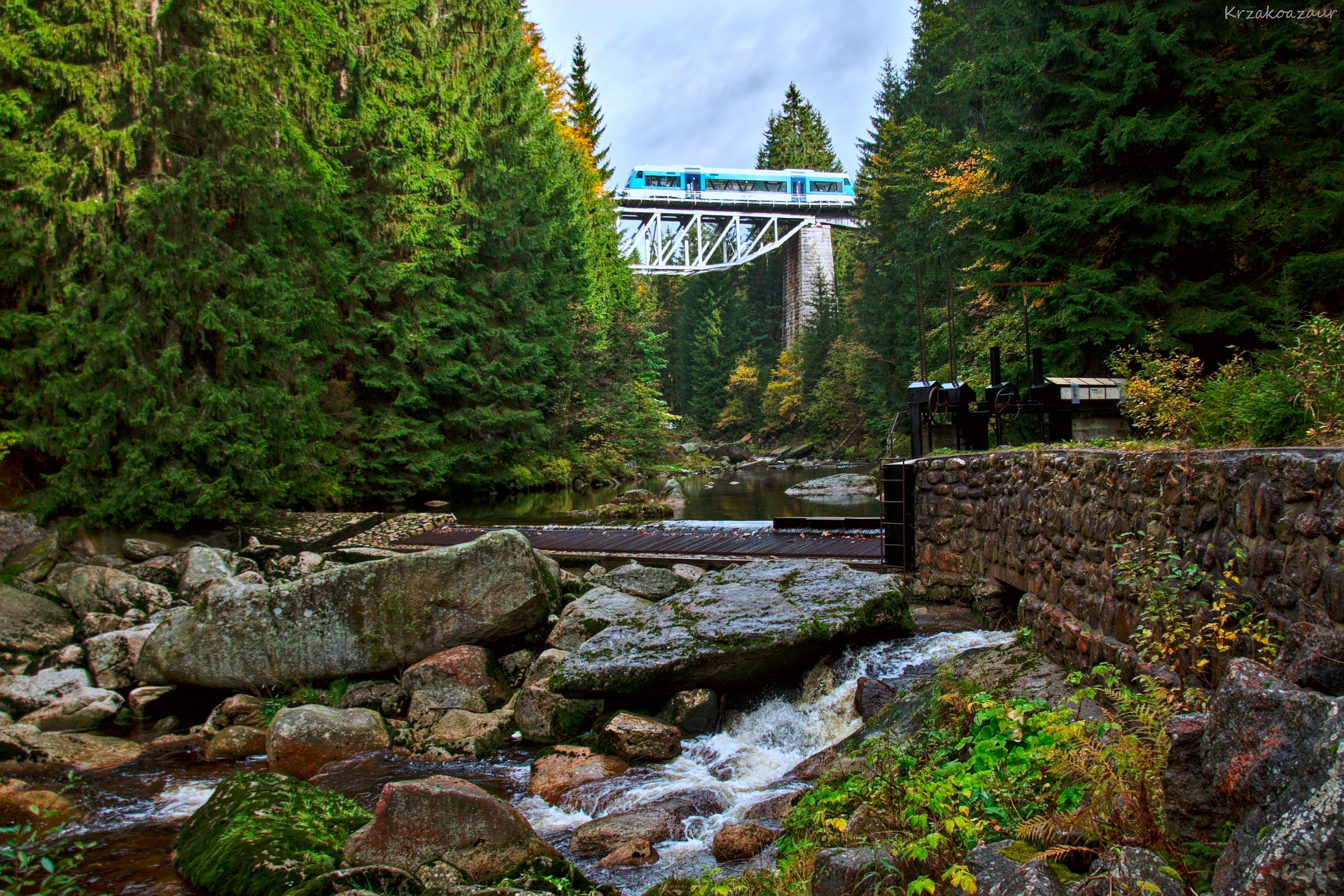 Kraina mlekiem i miodem płynąca