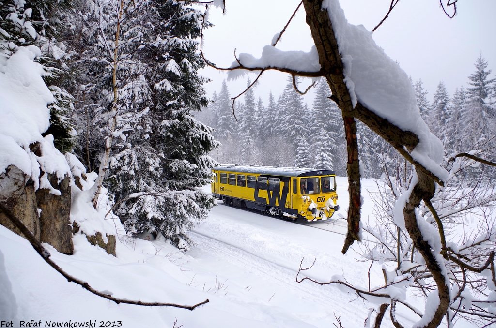 W śnieżnym krajobrazie