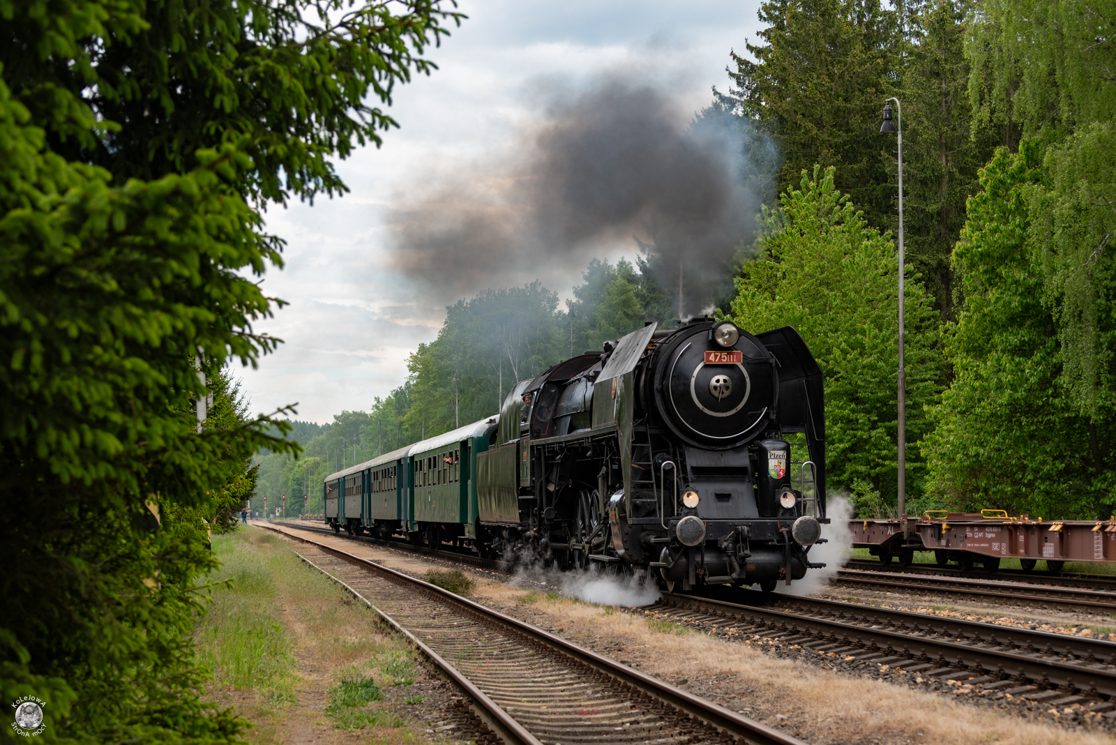 Šlechtična do Lužnej