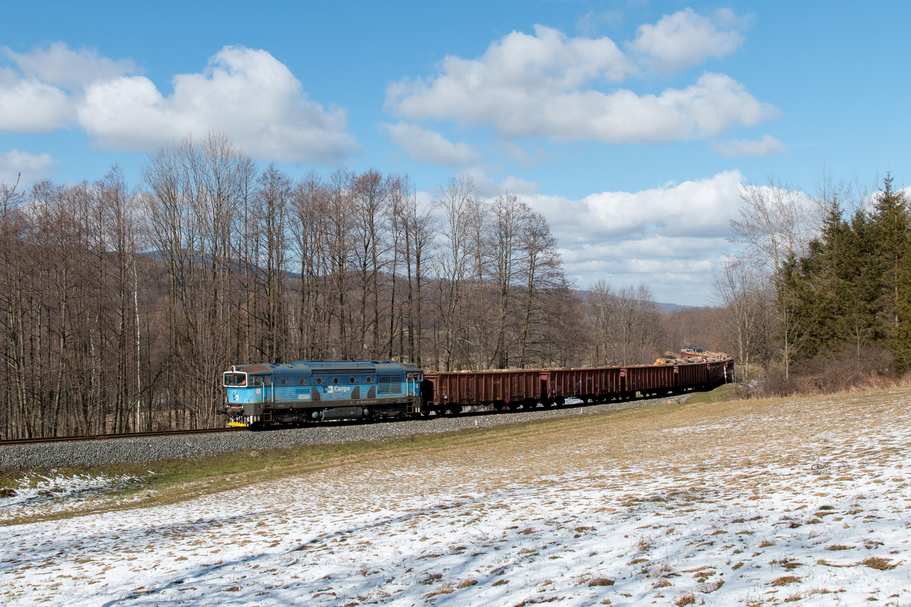 Drzewny zdawczy klasyk