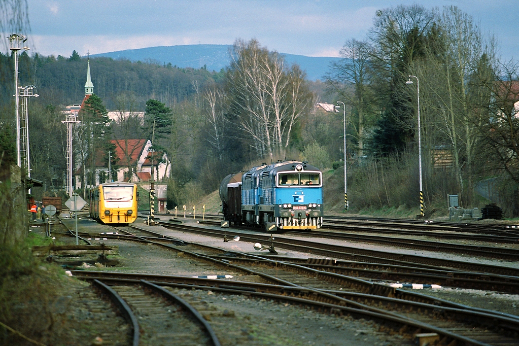 Vleè ve Frýdlantì.