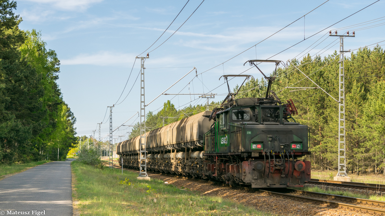 Niemiecki Krokodylek