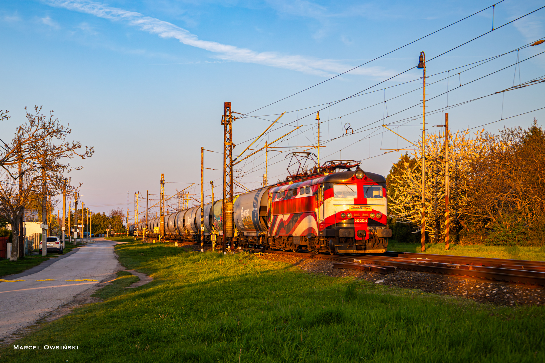 Pasiak ze zbożówkami