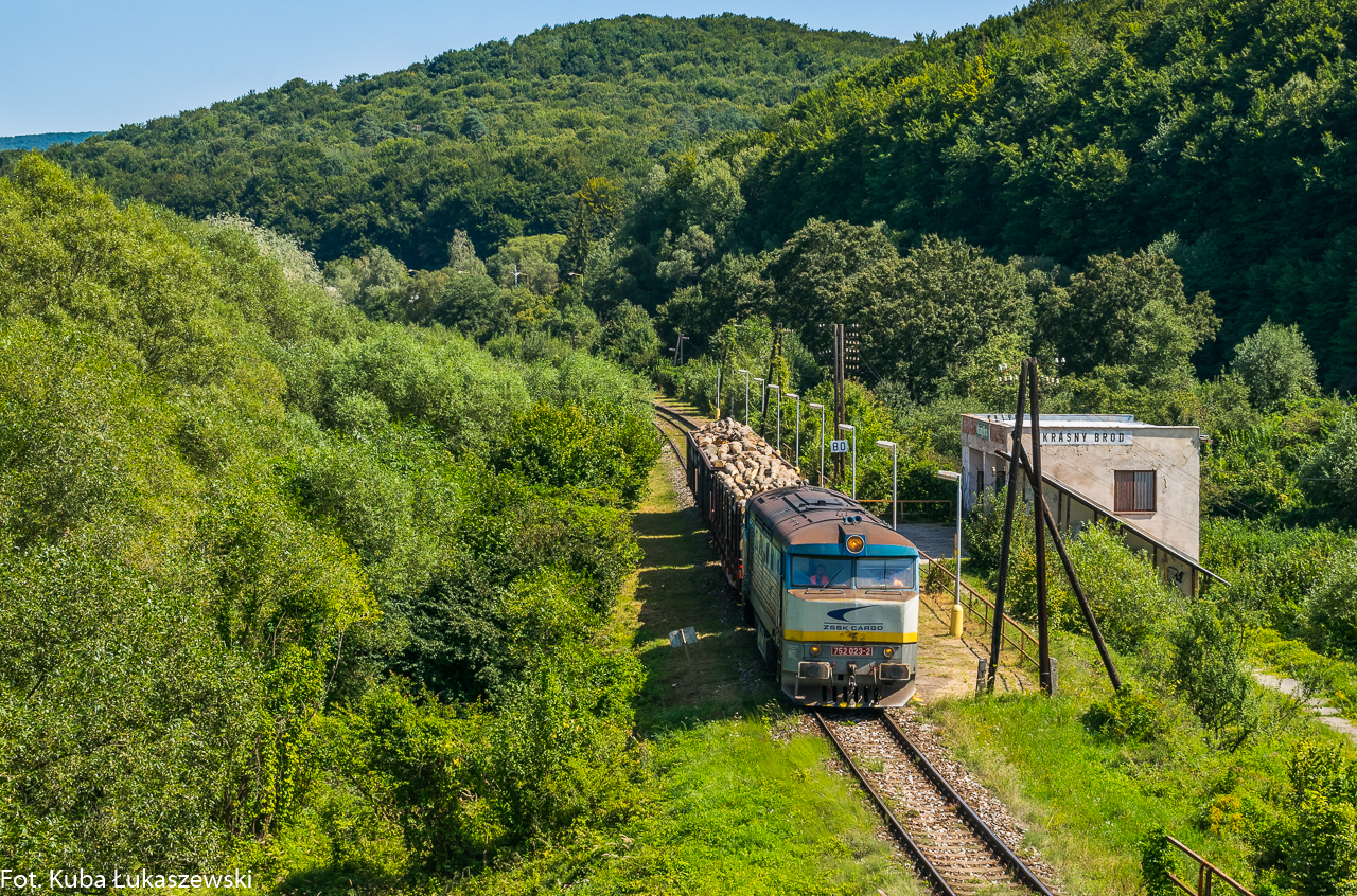 Bardotka w Krasnym Brodzie