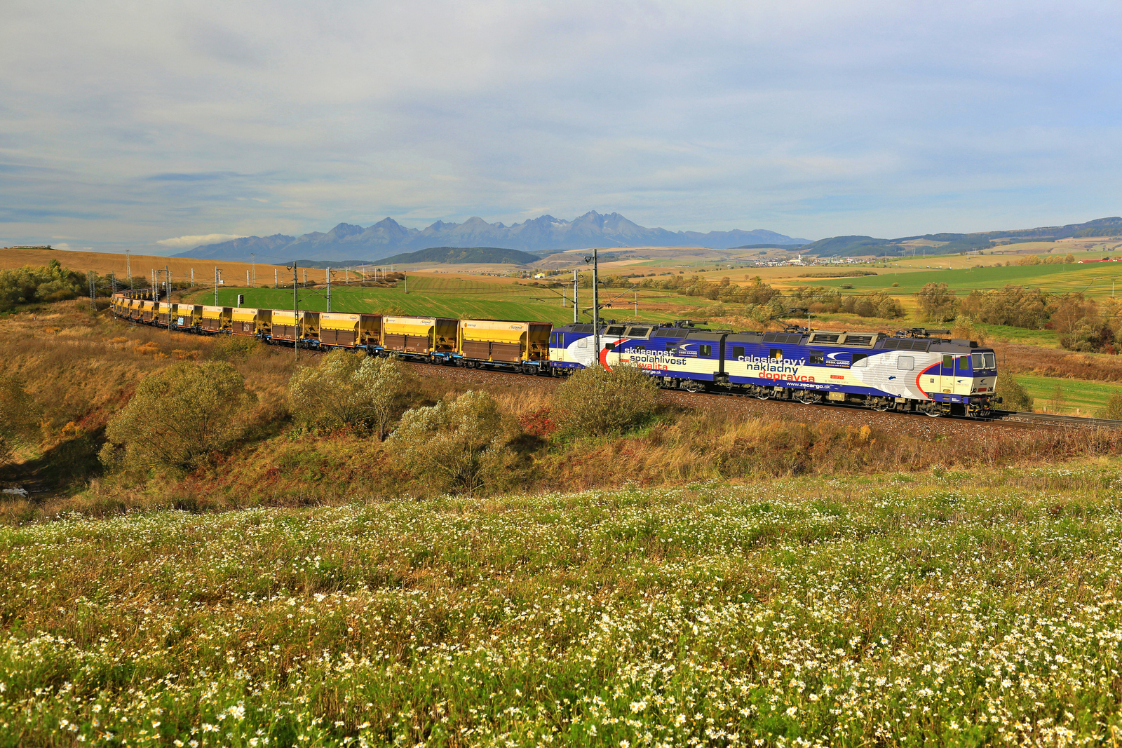 Celosietový nákladný dopravca