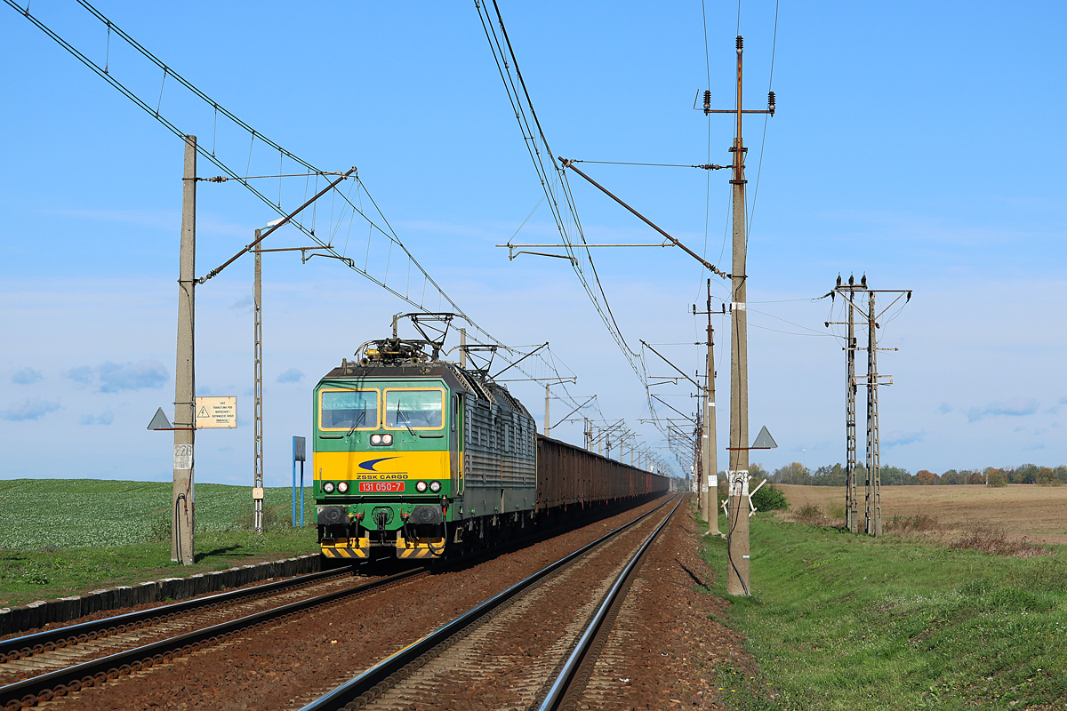 Słowacki łamaniec w Drzeńsku