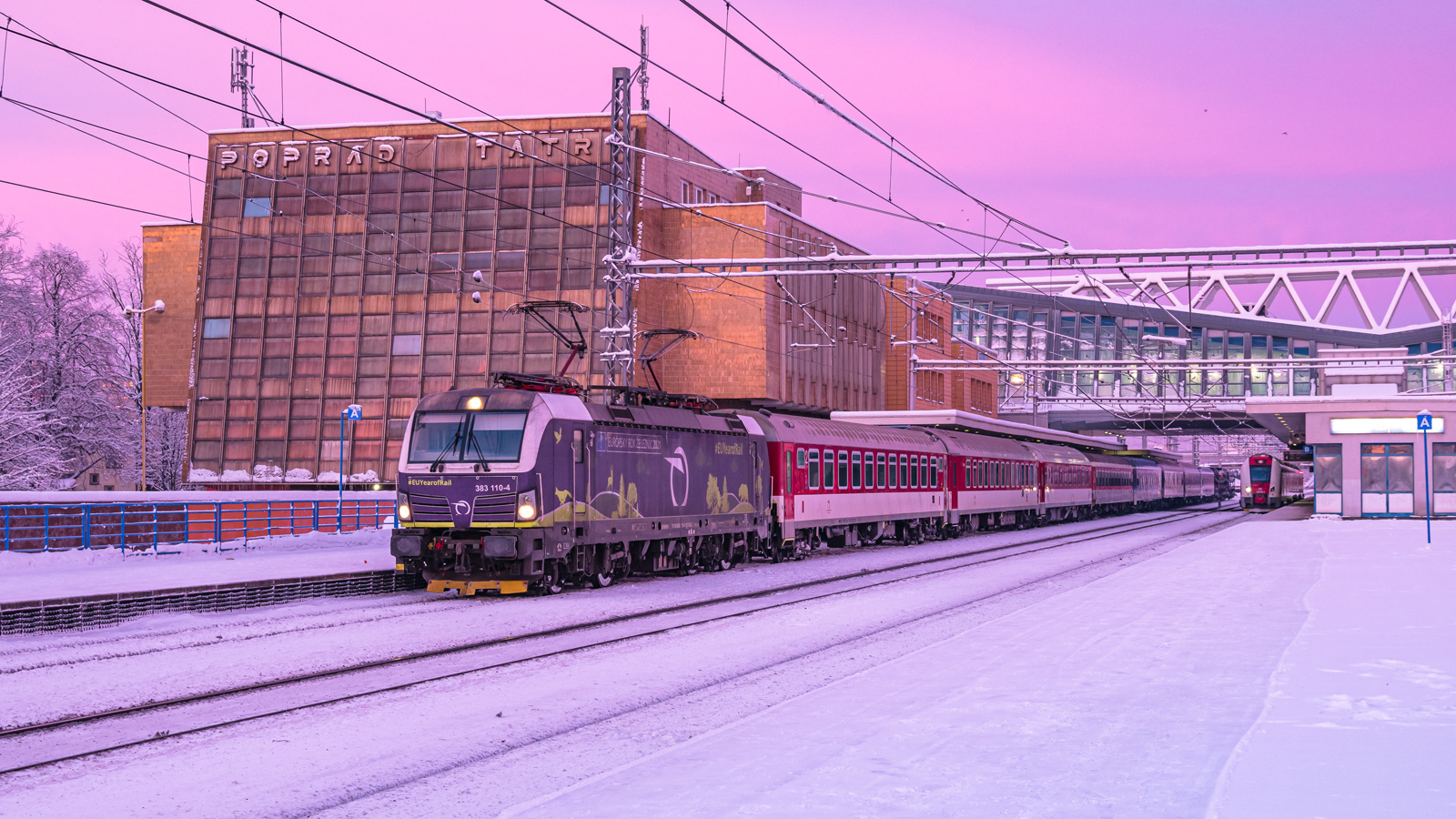 Bakłażan o wschodzie słońca