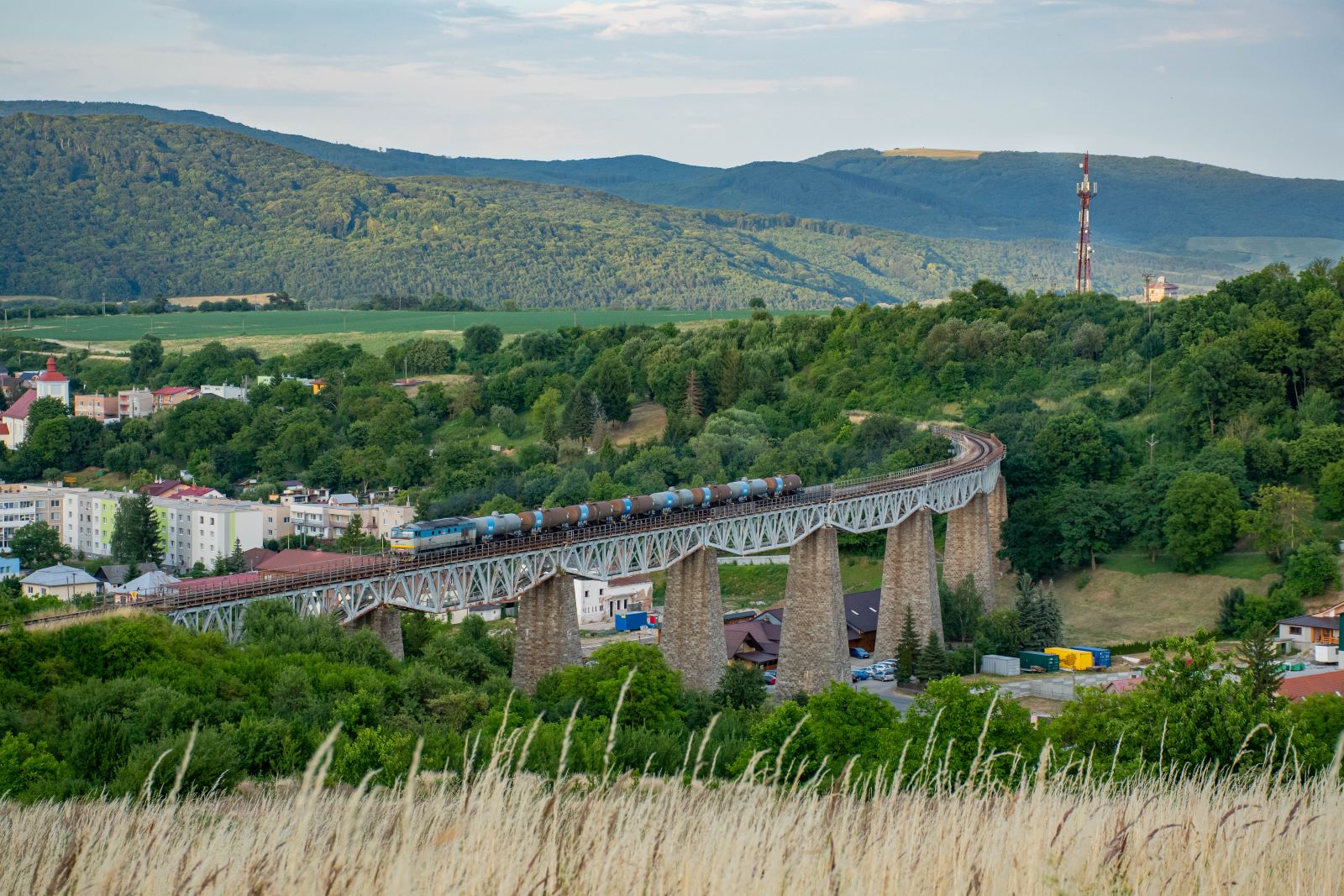 Bardotka na wiadukcie w Hanušovcach
