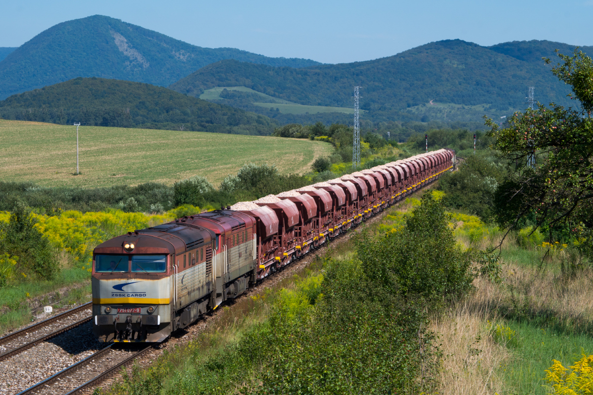 751 077-9 + 751 206-4 + 751 125-6