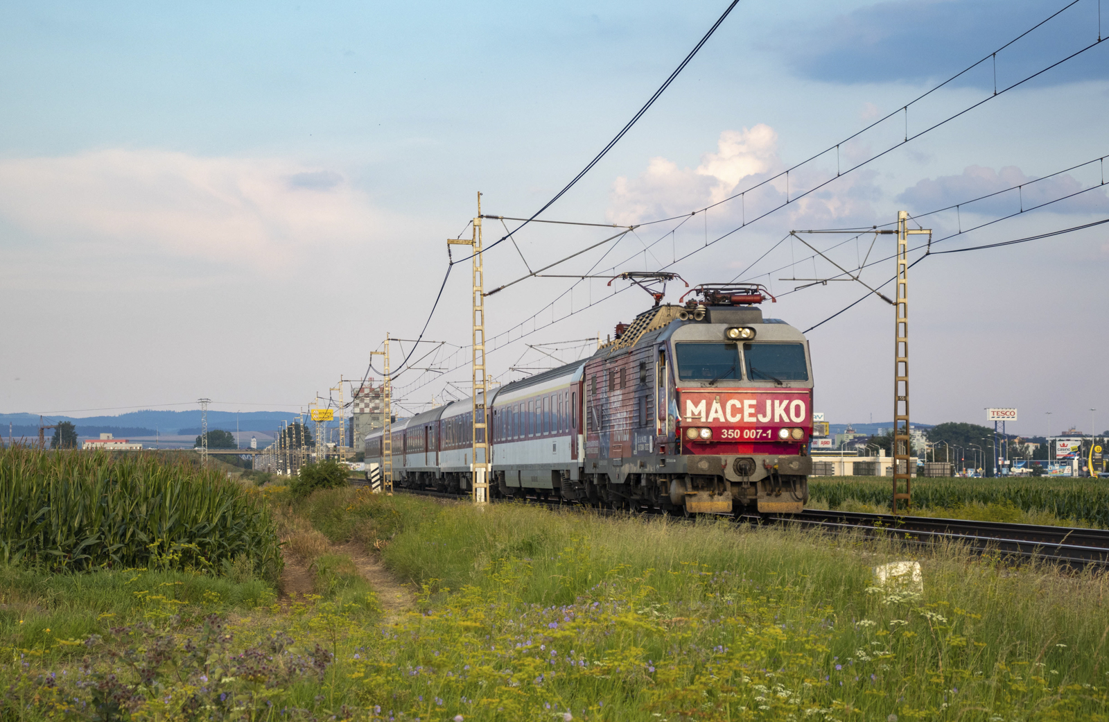 Ciepły letni wieczór