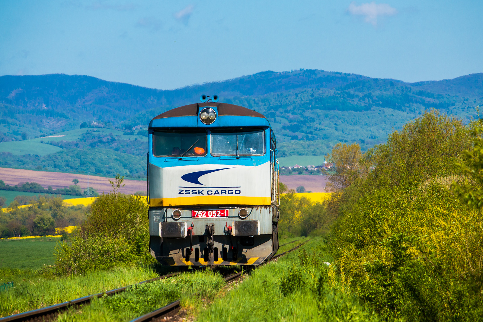 Bardotka w kamuflażu