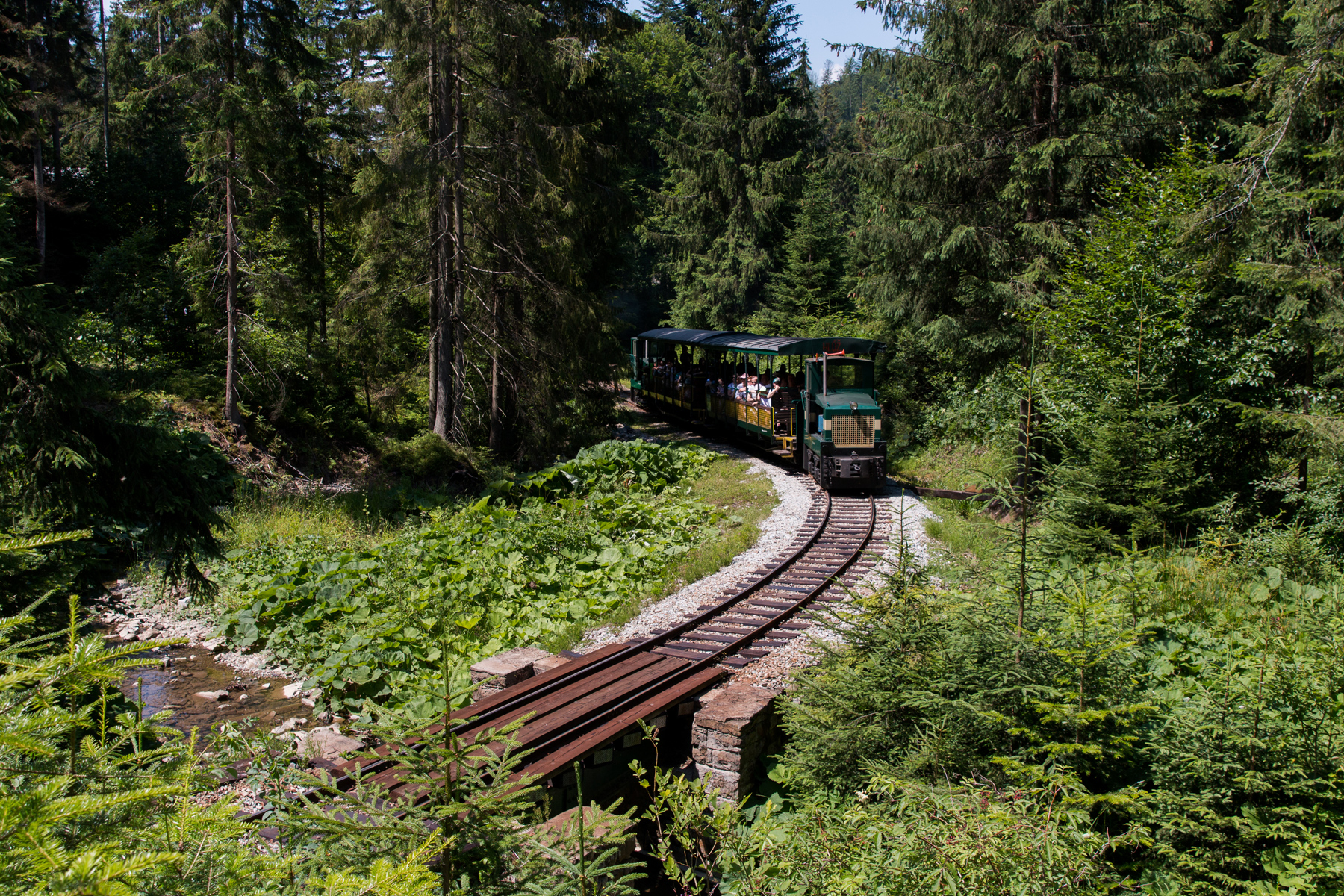Przez skansen ku górze