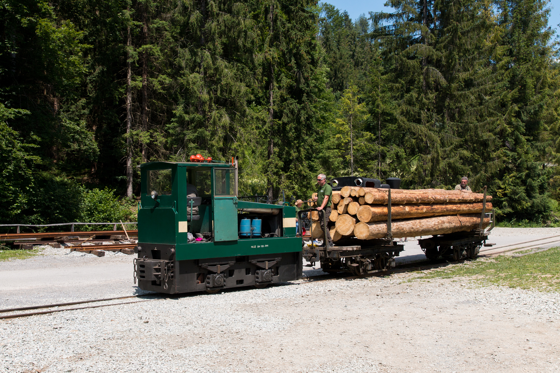 Pokazówka z drewnem