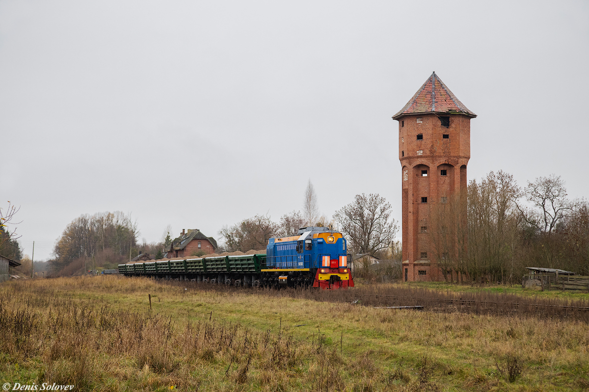 TEM18D-006 z pociągiem towarowym wraca ze stacji Krasnolesye
