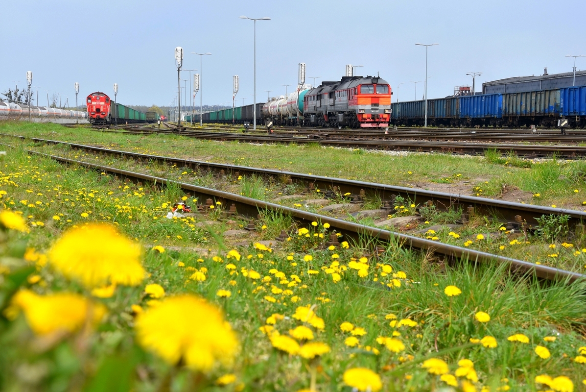 Wiosna na ziemi Warmińskiej