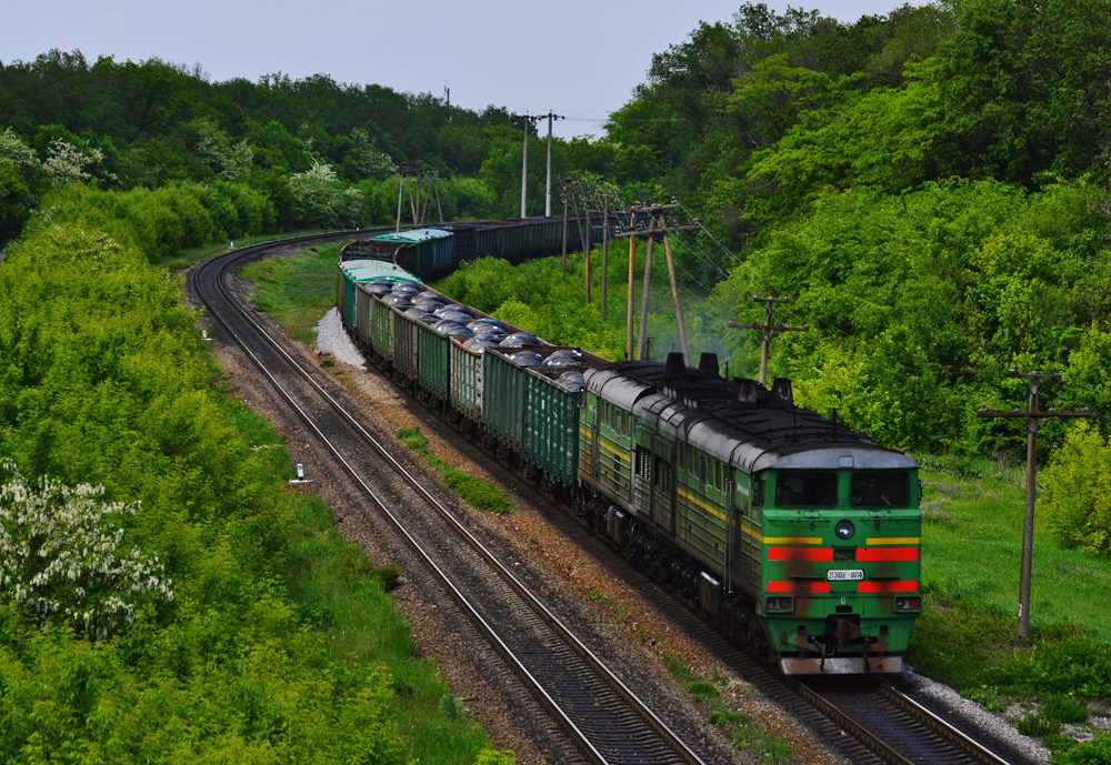 Mieszaniec do Mikołajowa