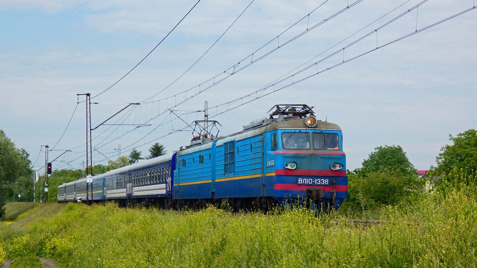 Czapajew wśród traw