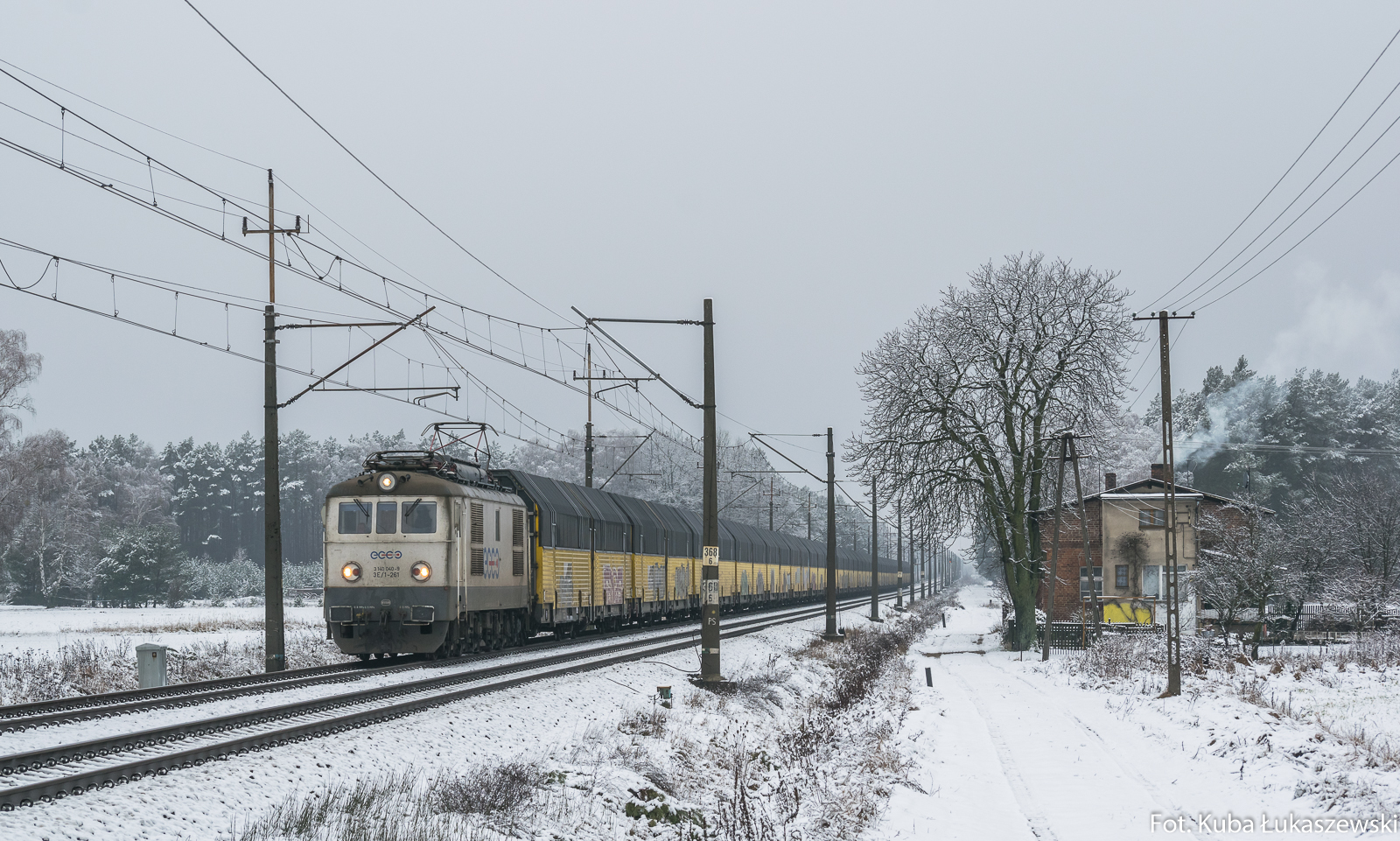 Biały Sputnik w śniegu