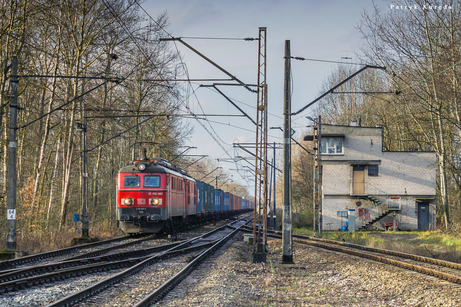 "Wymierający" gatunek