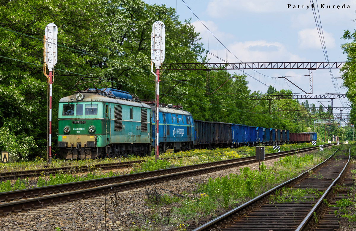 Jeden z ostatnich w stadzie