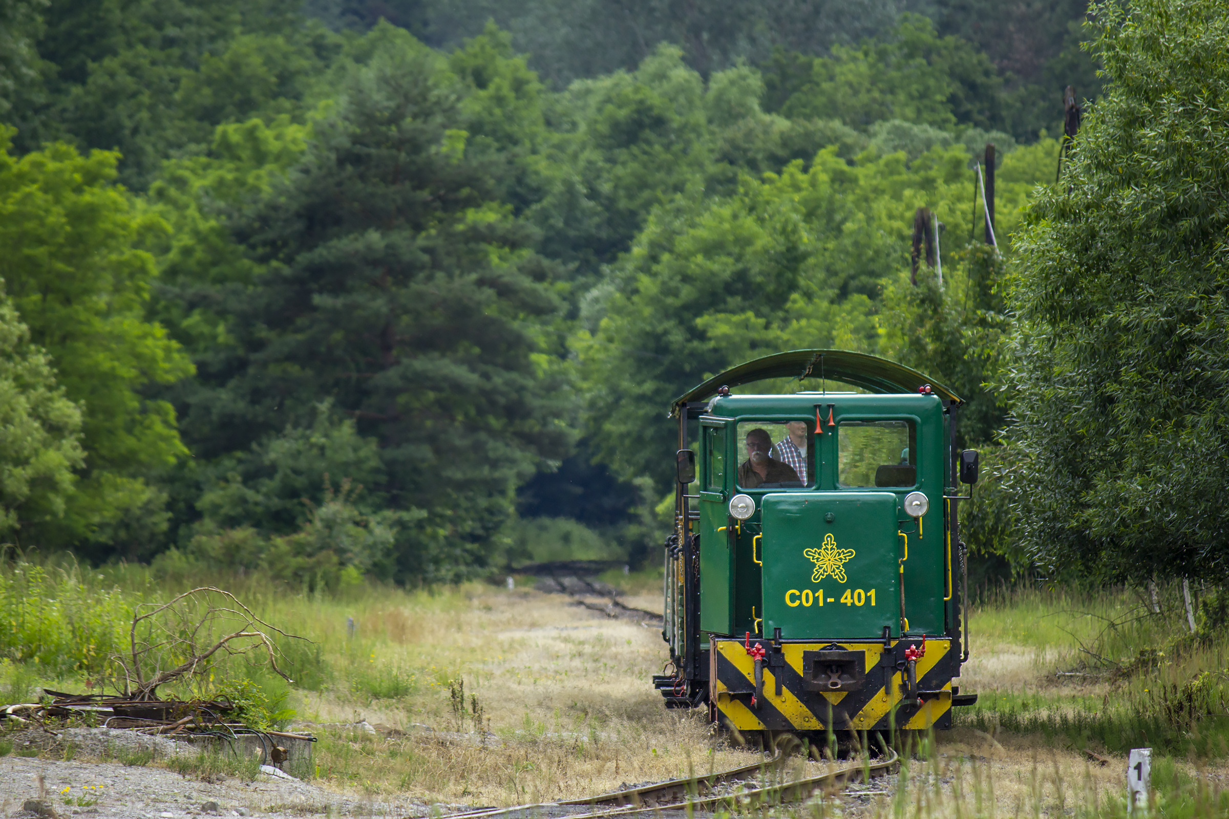 Po co mi niebo jak mam zieleń