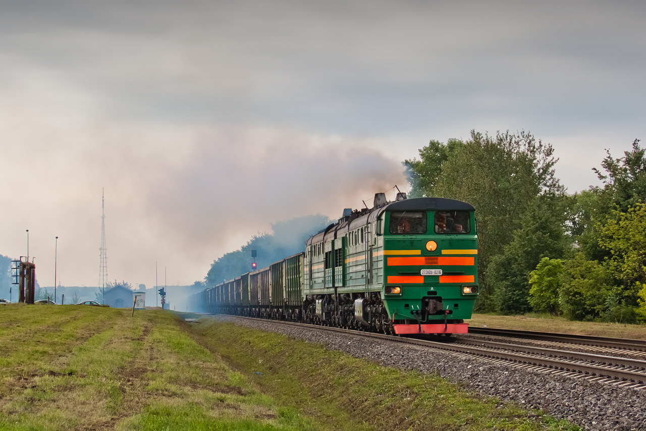 2Ð¢Ð­10Ð£-0216