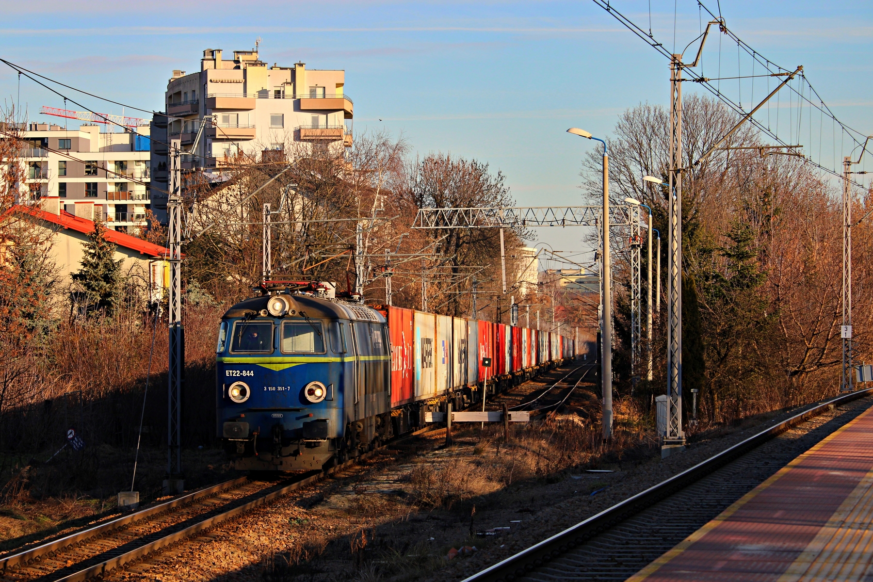 Popołudniowy Byczek