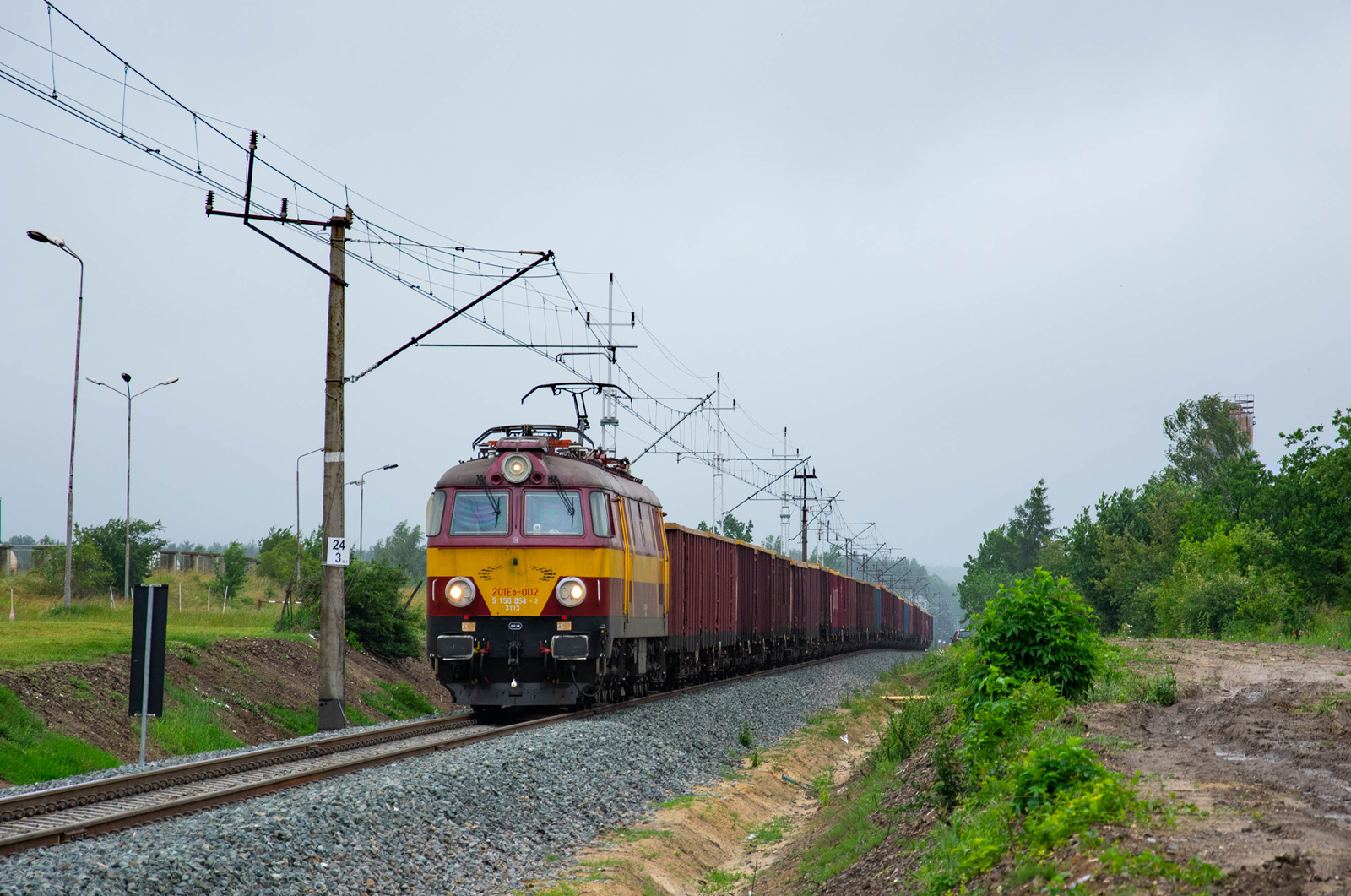 Deszczowy Marokańczyk