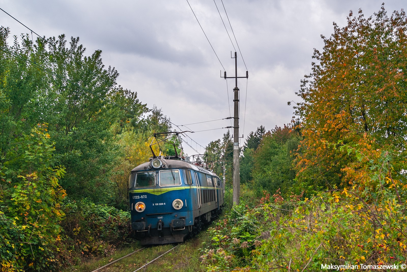 Ratunkowy byk - część 2