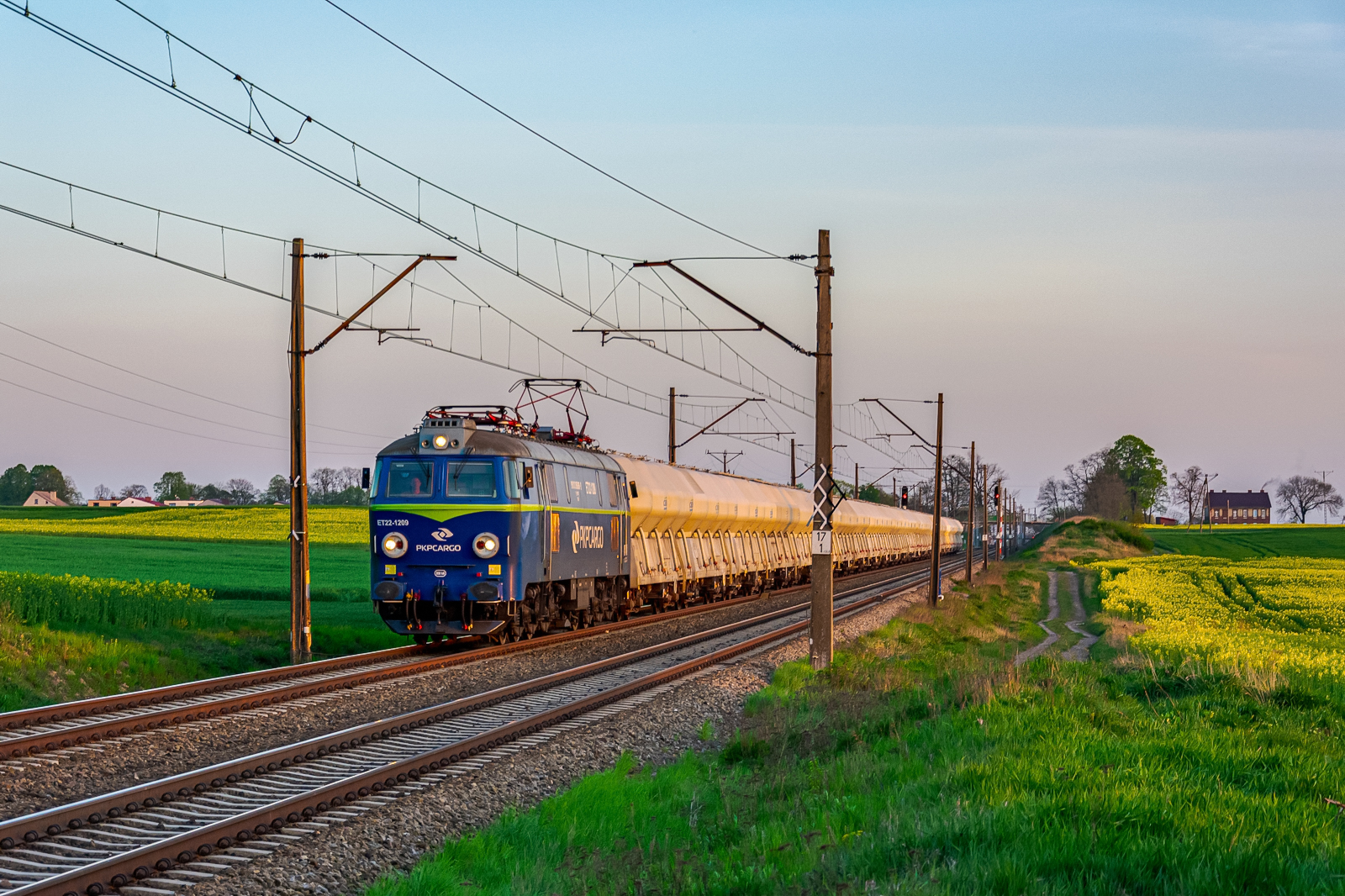Pudernice o zachodzie słońca