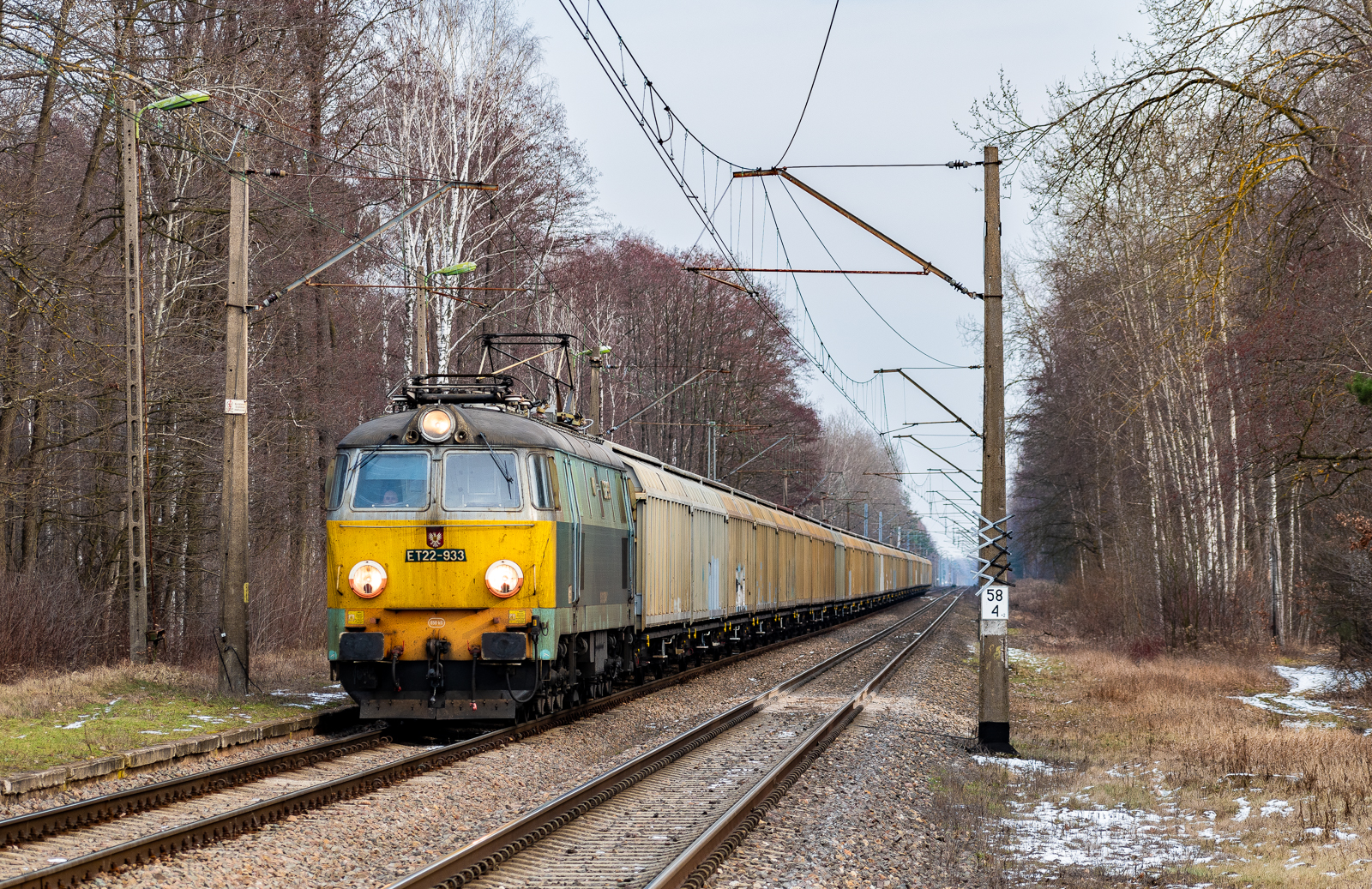 Żółte czoło i dwuosiowe kryte