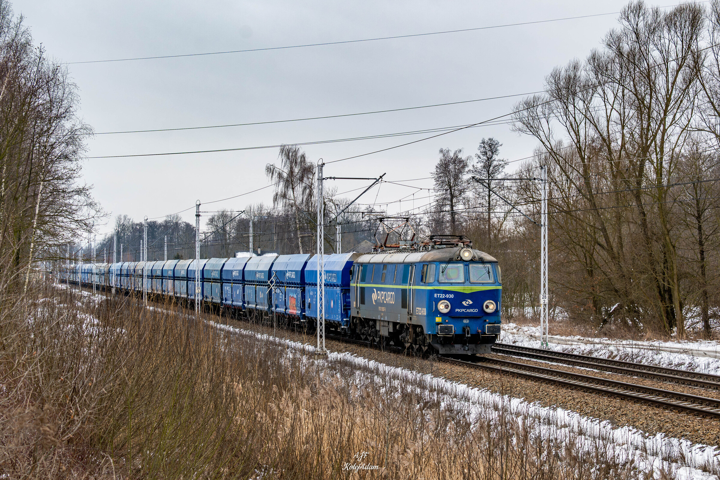 Helmut przed Oświęcimiem