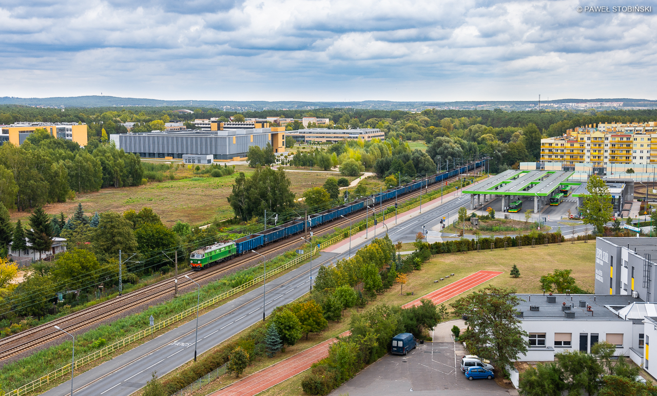 Byk w wielkim mieście