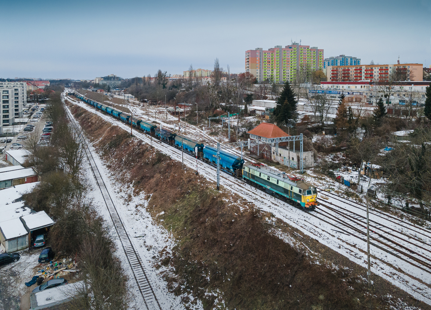 Kolorowy byku w ponury dzień