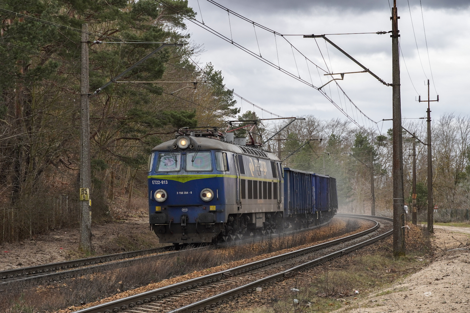 Byk z ciężkim bruttem