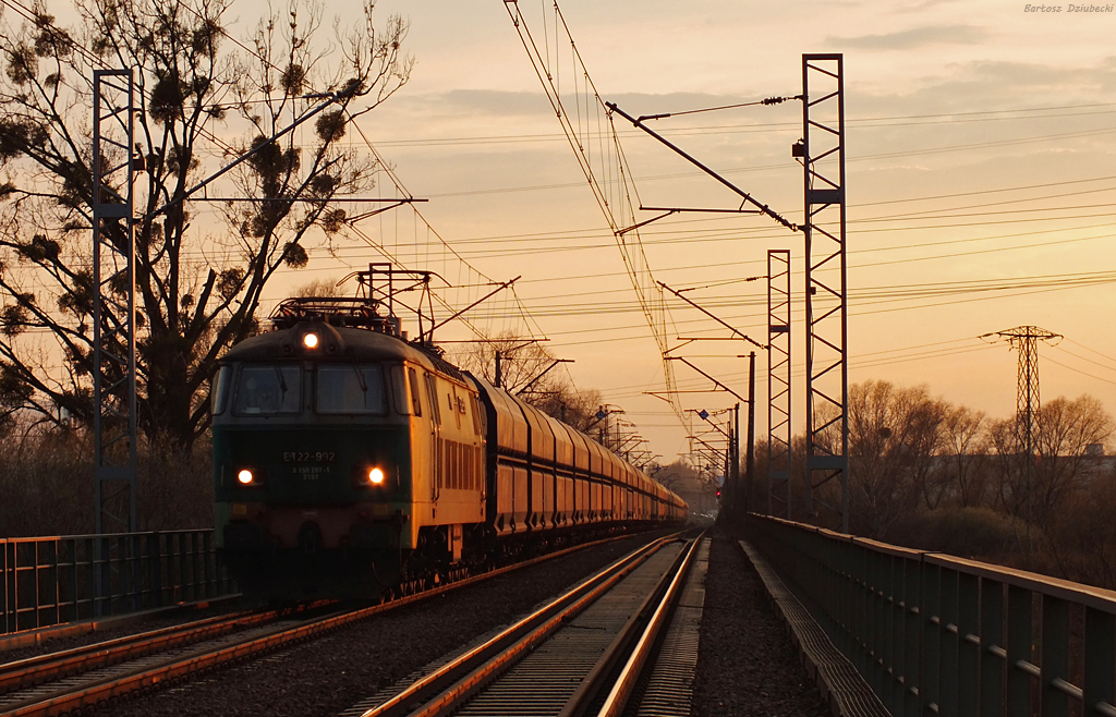 Byk o zachodzie słońca...