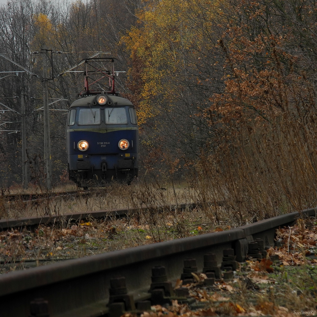 Ostatki jesieni... vol.2