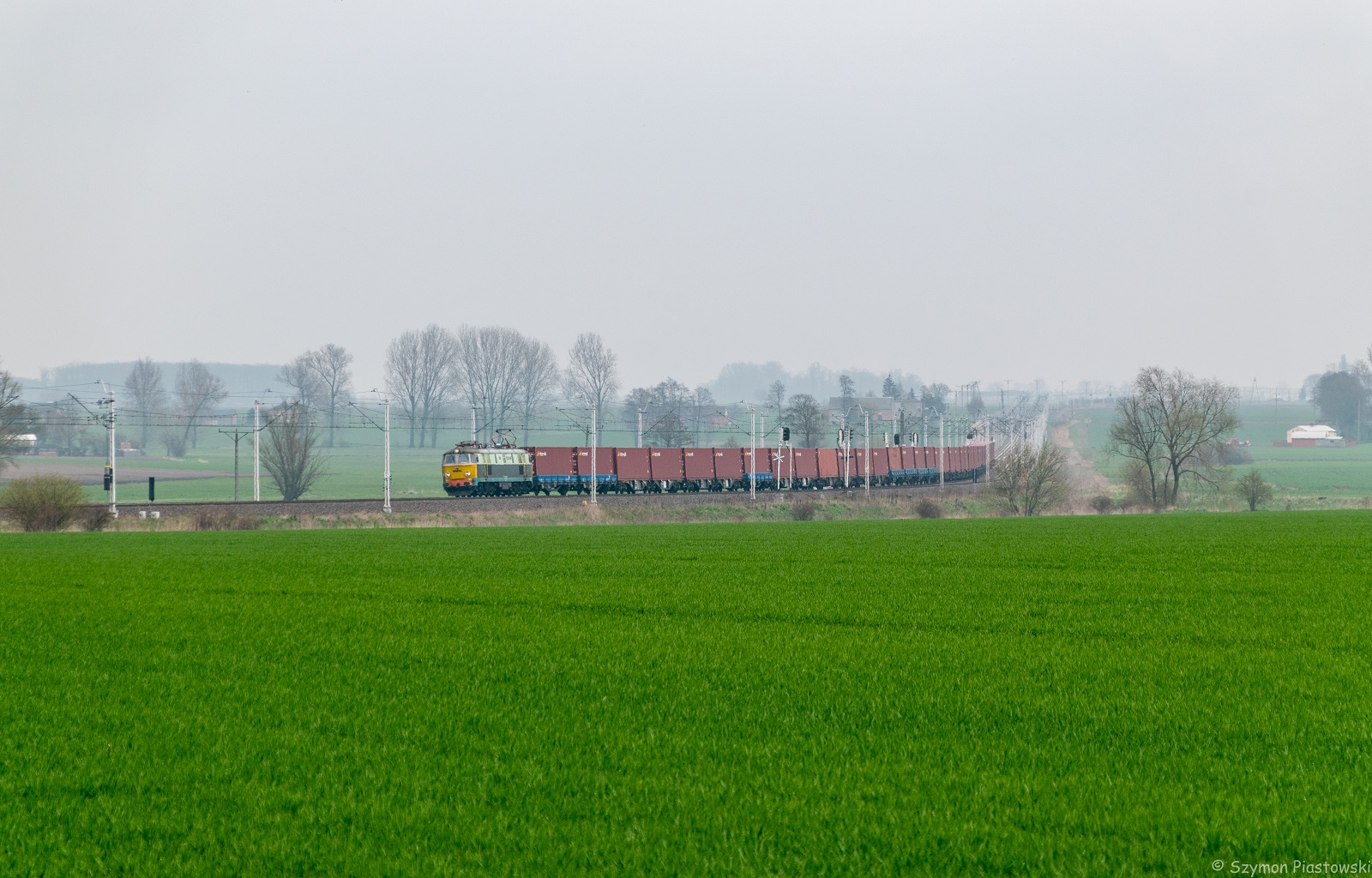 Byk na Jedwabnym Szlaku